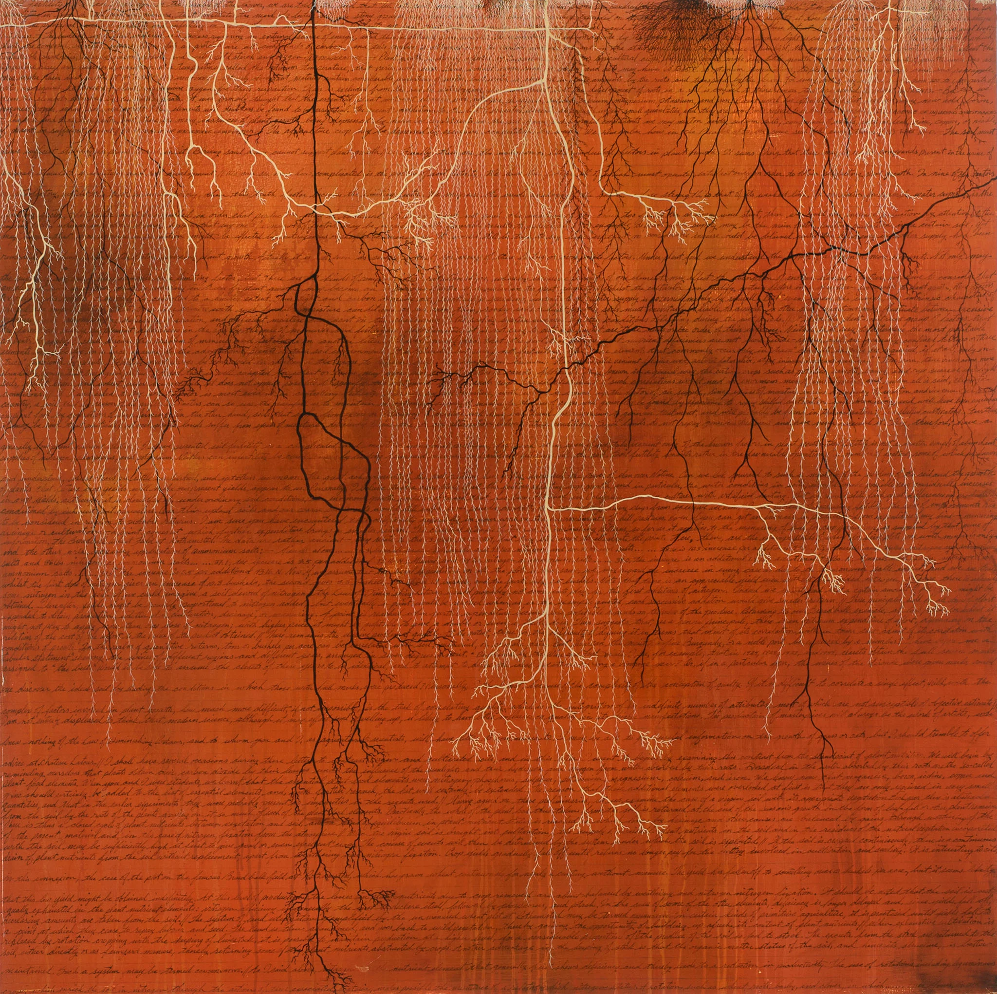 Red Clay