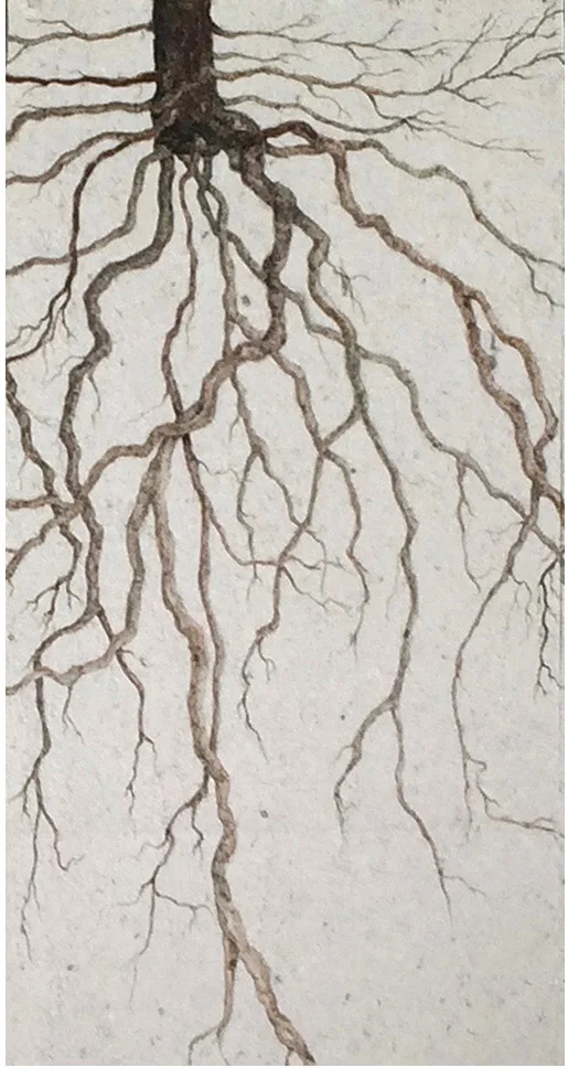 Grass and Vines;