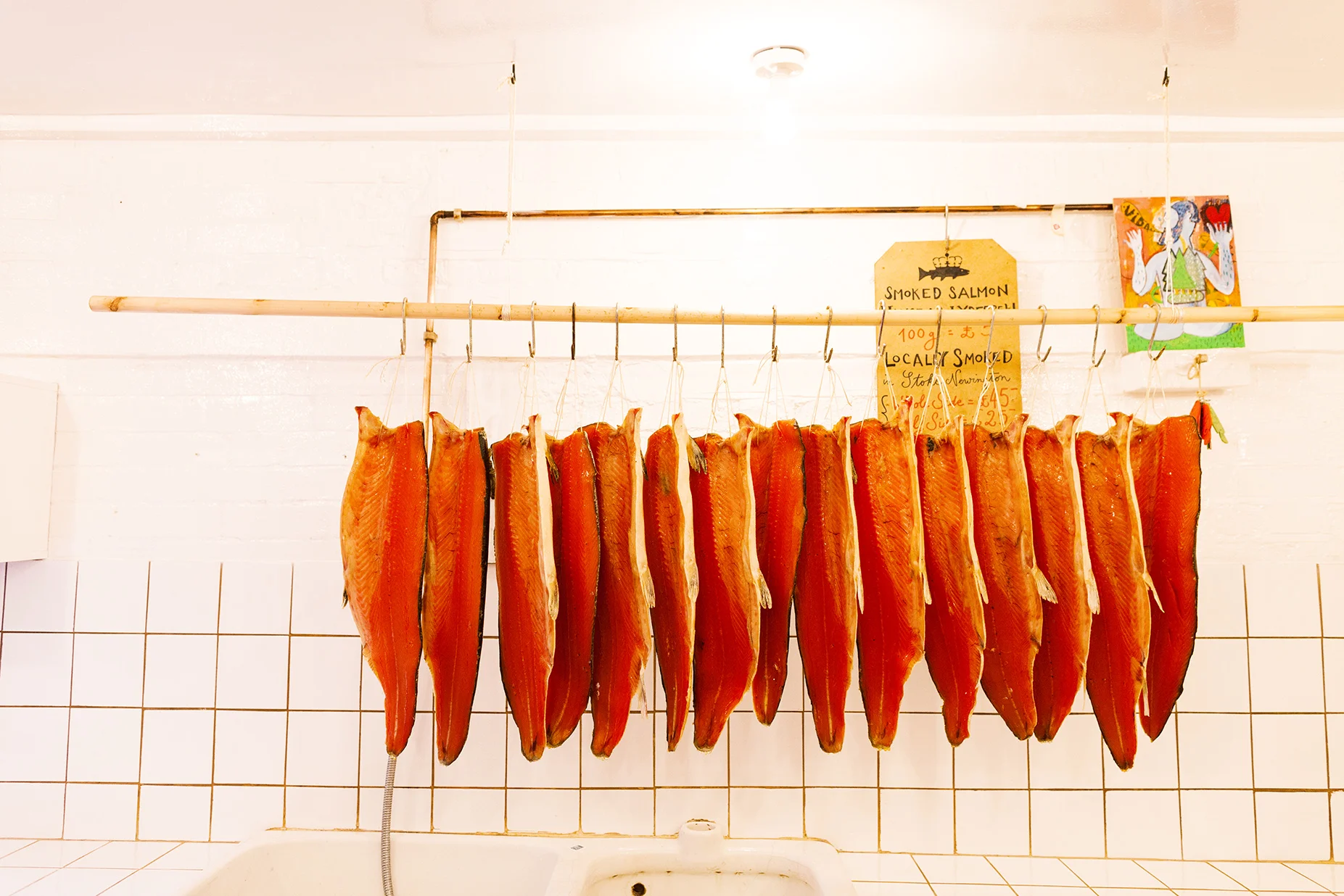 10_7_11_OleHansenSalmon37568.jpg