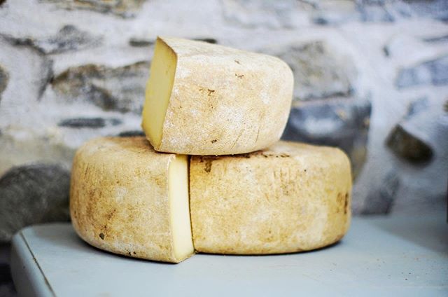 Pag is incredibly well known for its award-winning sheep cheese. Don't miss your chance to taste the best one at Gligora! #tastepag #tastevillafjaka⠀⁠⠀
.⠀⁠⠀
.⠀⁠⠀
.⠀⁠⠀
📷: Alexander Maasch⠀⁠⠀
#croatia #villafjaka #fjaka #croatiafulloflife #summerincro