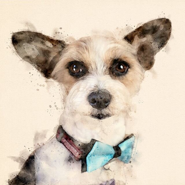 Playing with Photoshop and having fun with the watercolor action. It&rsquo;s a free download from @adobecreate .
.
.
.
.
.
.
.
#Dog #Dogs #Dogstagram #DogsOfInstagram #InstaDog #InstagramDogs #Pet #Petstagram #DogOfTheDay #DogLover #Dogs_of_Instagram