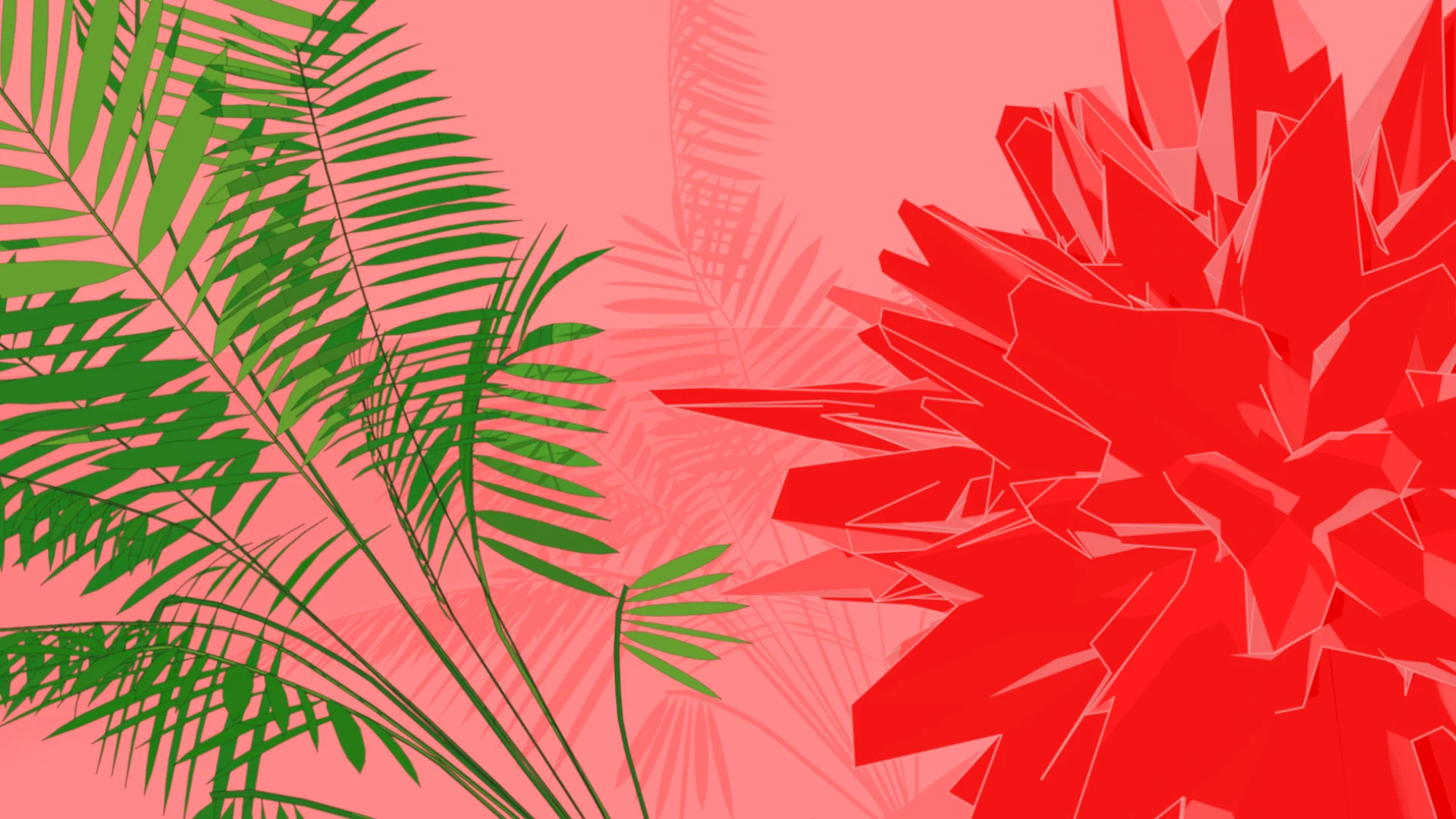 Palm_Shadow.jpg
