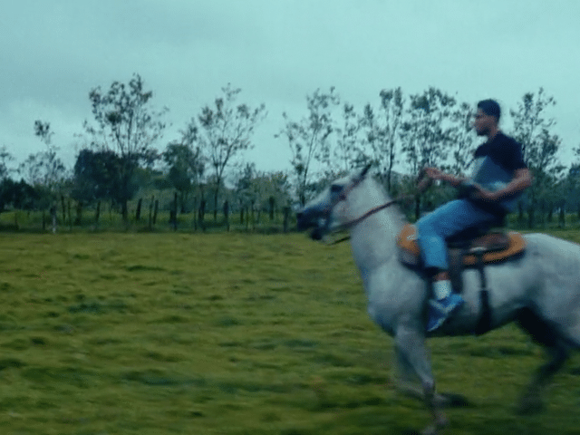 Shoe Palace X New Balance