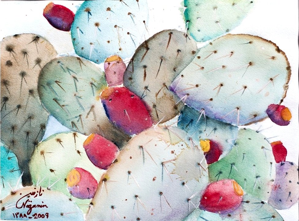 Prickly+Pear%2CImage+161+-+1resized.jpg