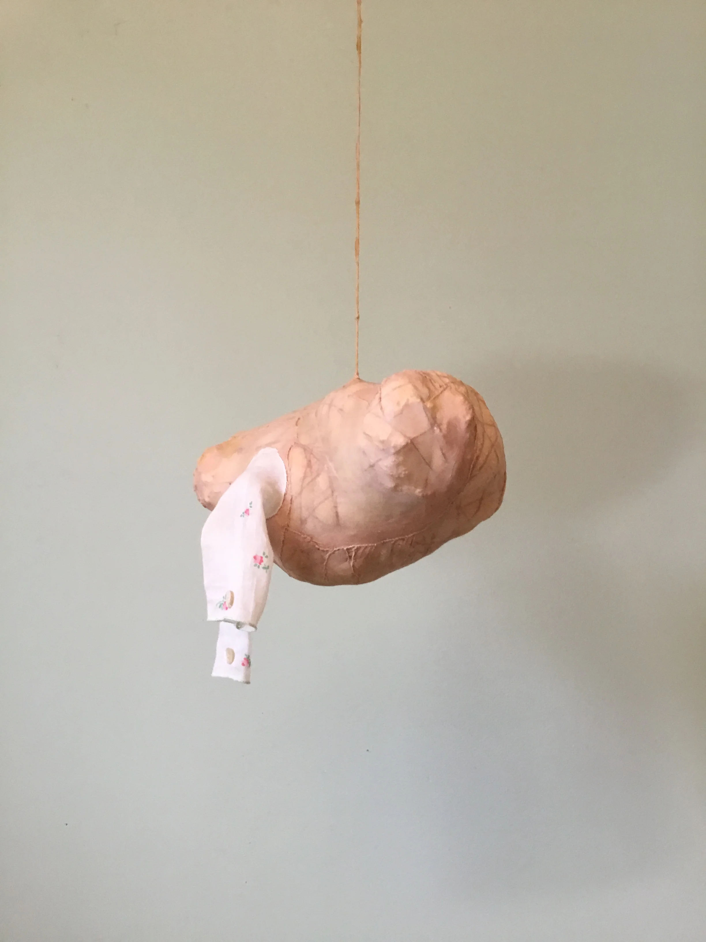 Fab Fab Sky Potato 2.JPG