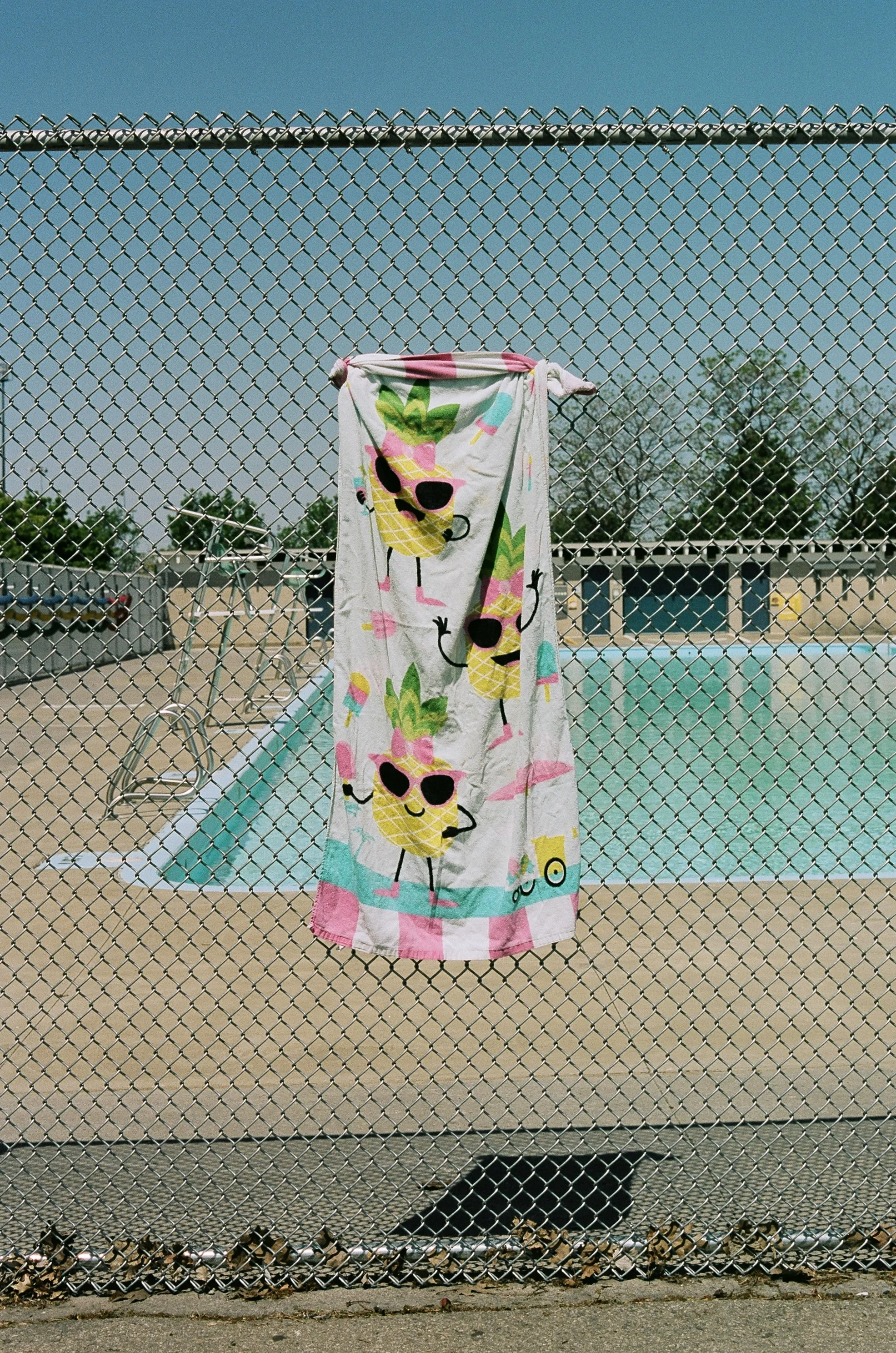42970013.jpg