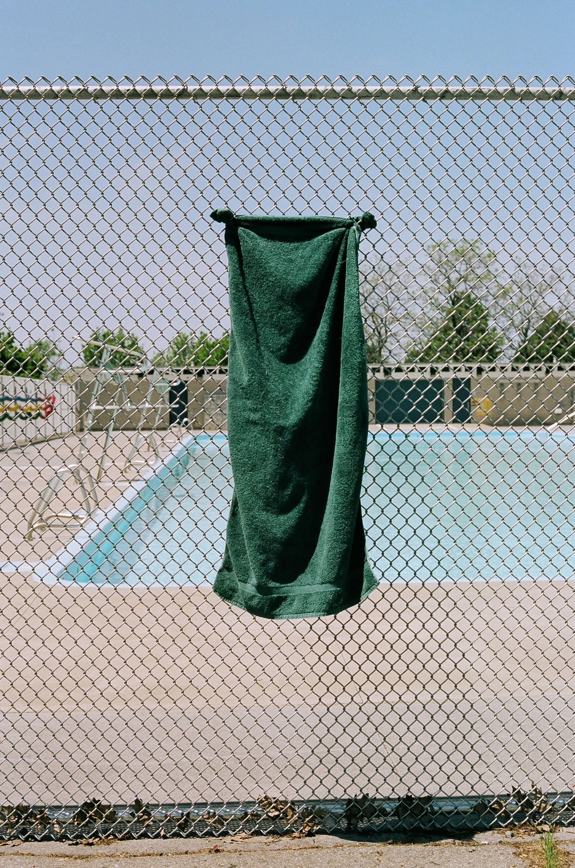 42960018.jpg