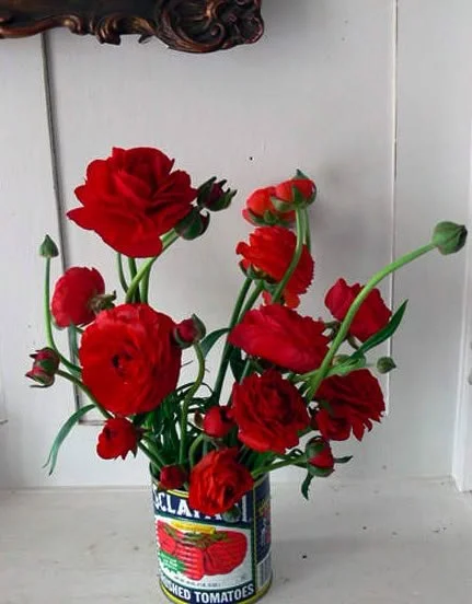 Flowers.jpeg