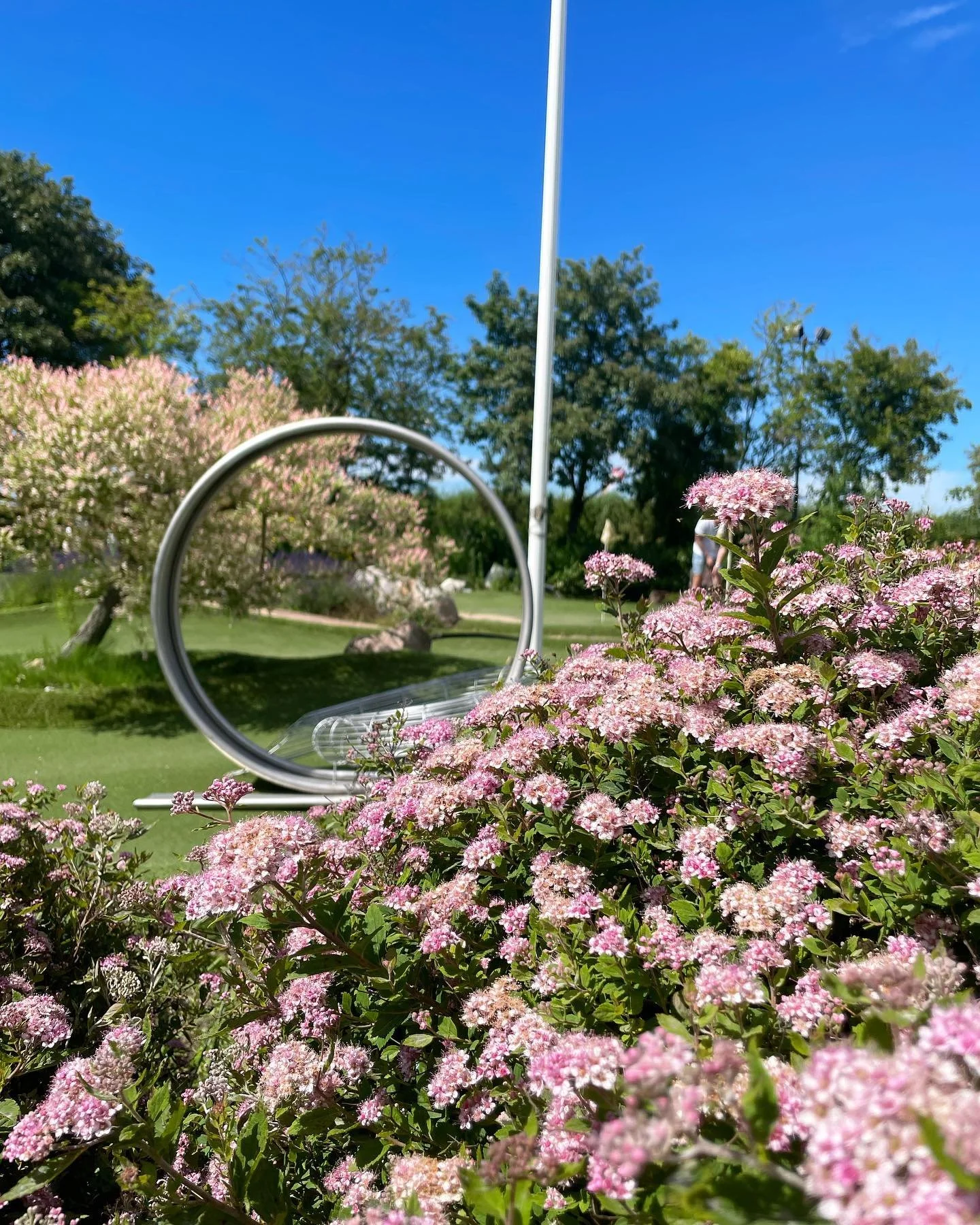 Varför inte ta och fira midsommar med lite minigolf och en god glass?🍦Vi har öppet från 12-18, välkomna ner!⛳️
#minigolf #kulimalmö #malmö #ribban