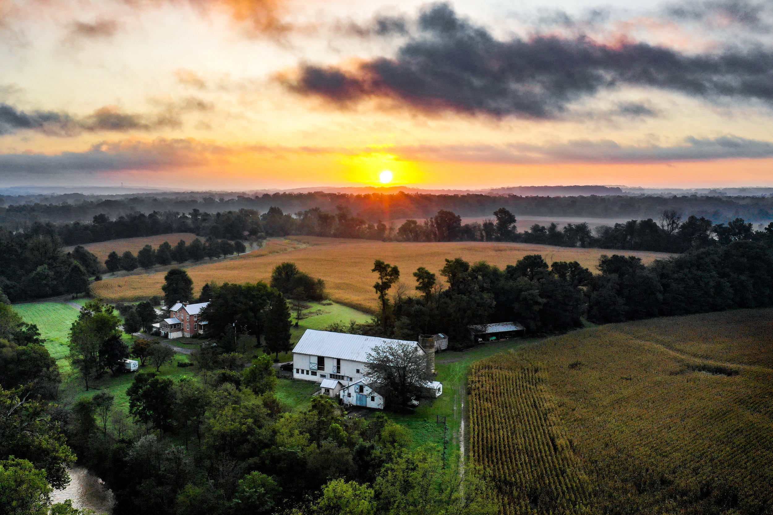 farm sunrise.jpg