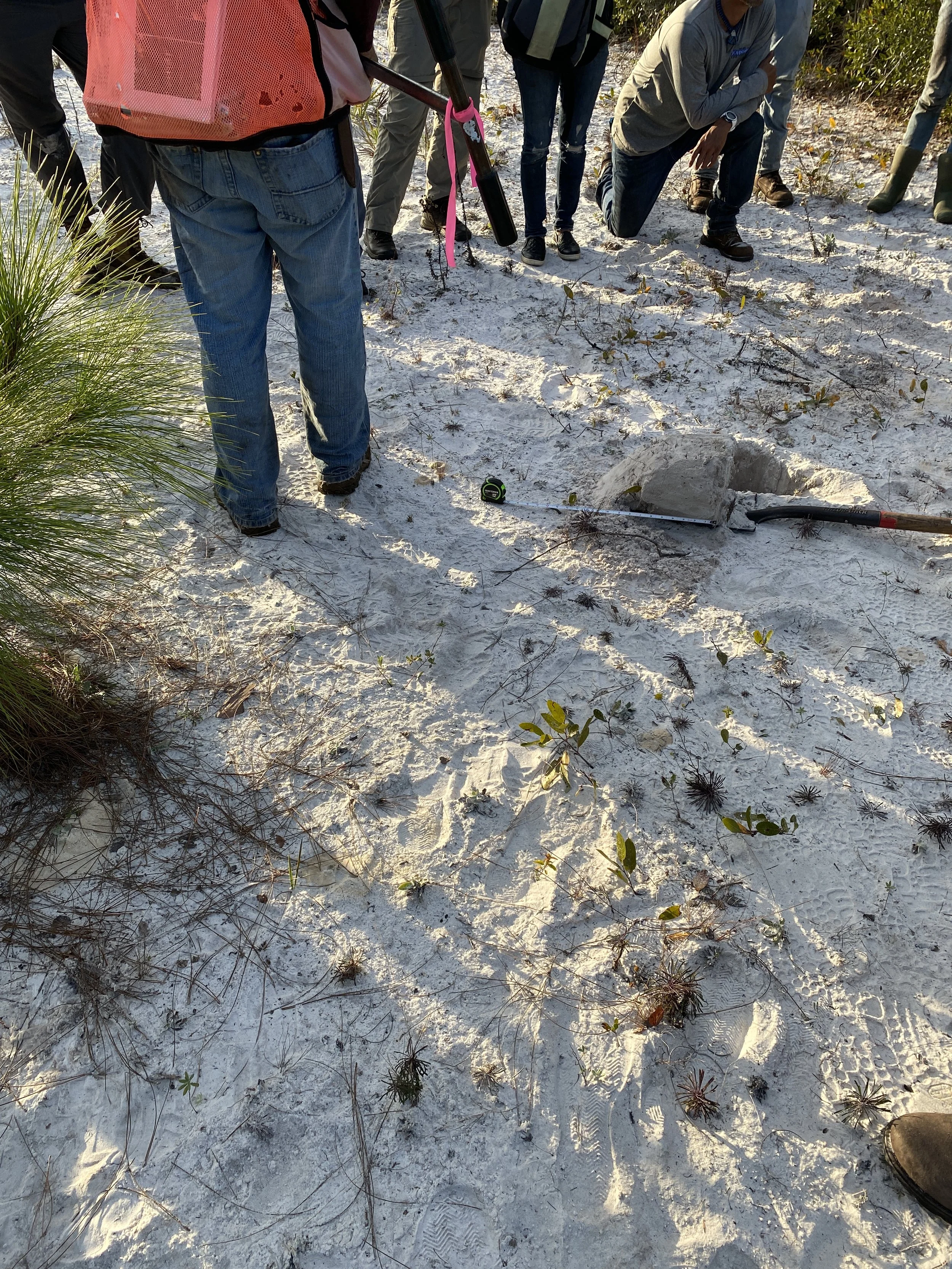 Hydric Soils Training: Inside Scoop!