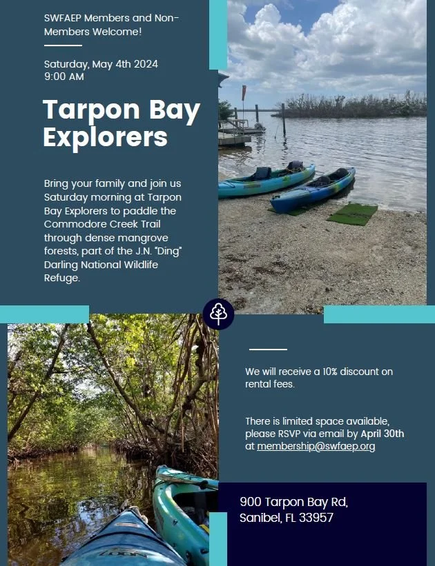 Paddle Event with Tarpon Bay Explorers