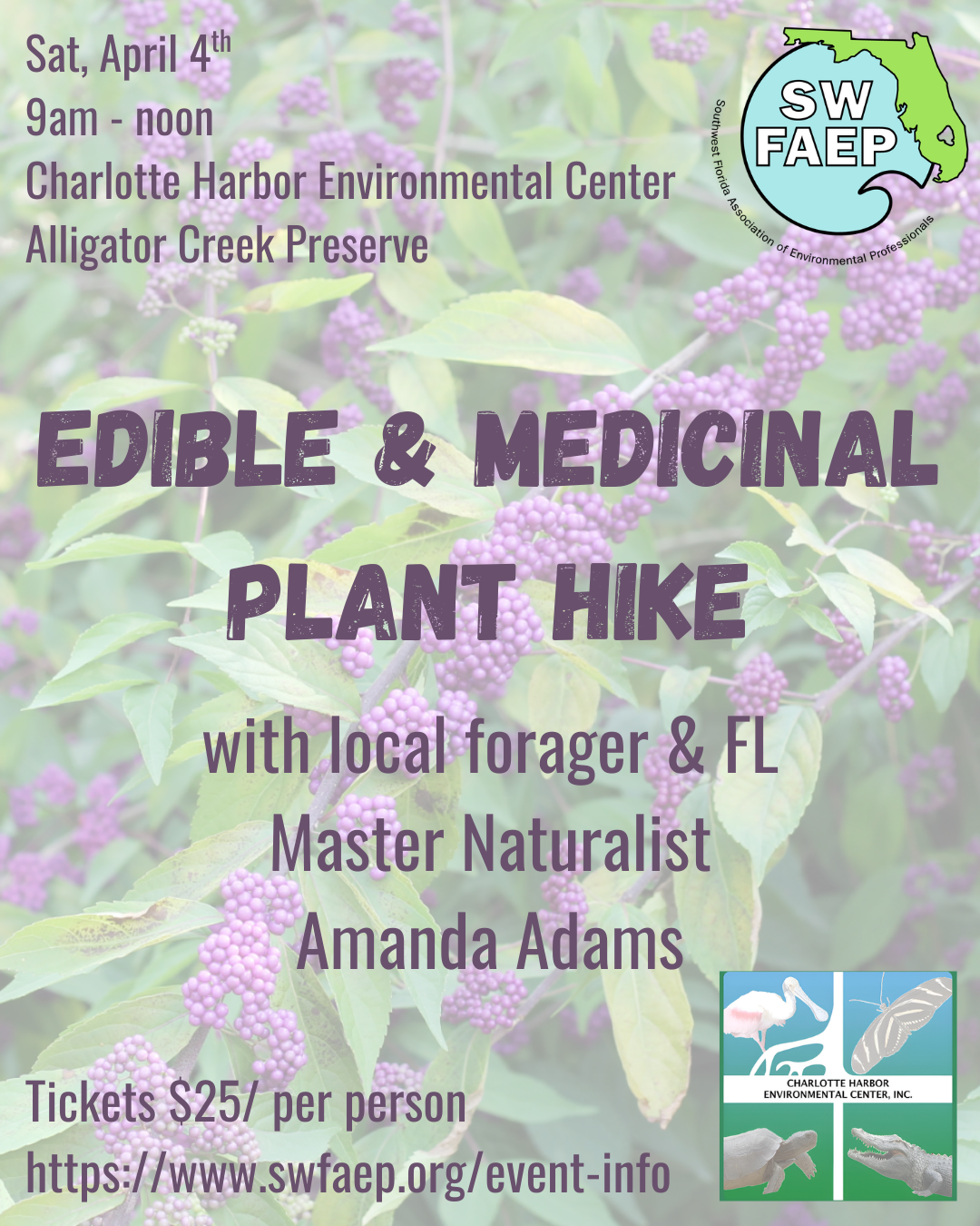 Edible &amp; Medicinal Plant Hike 