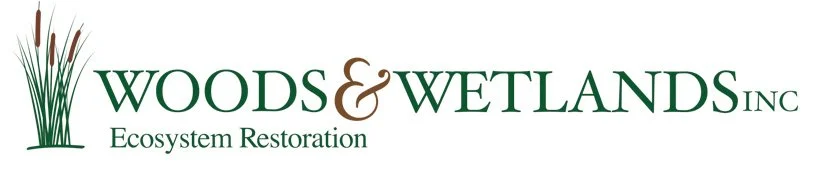 woods-and-wetlands-horizontal-logo-header (002).jpg