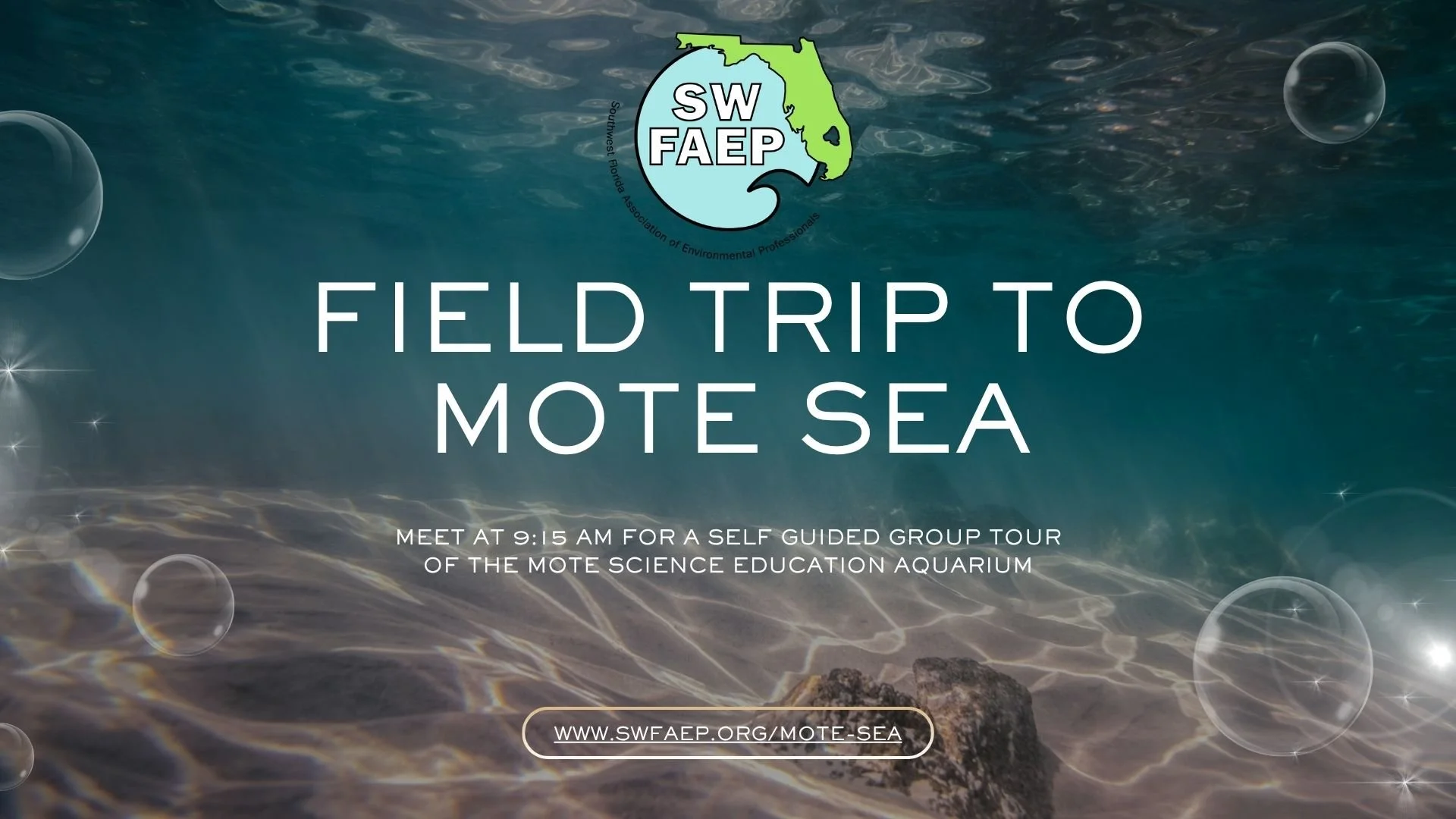 MOTE FLYER.jpg
