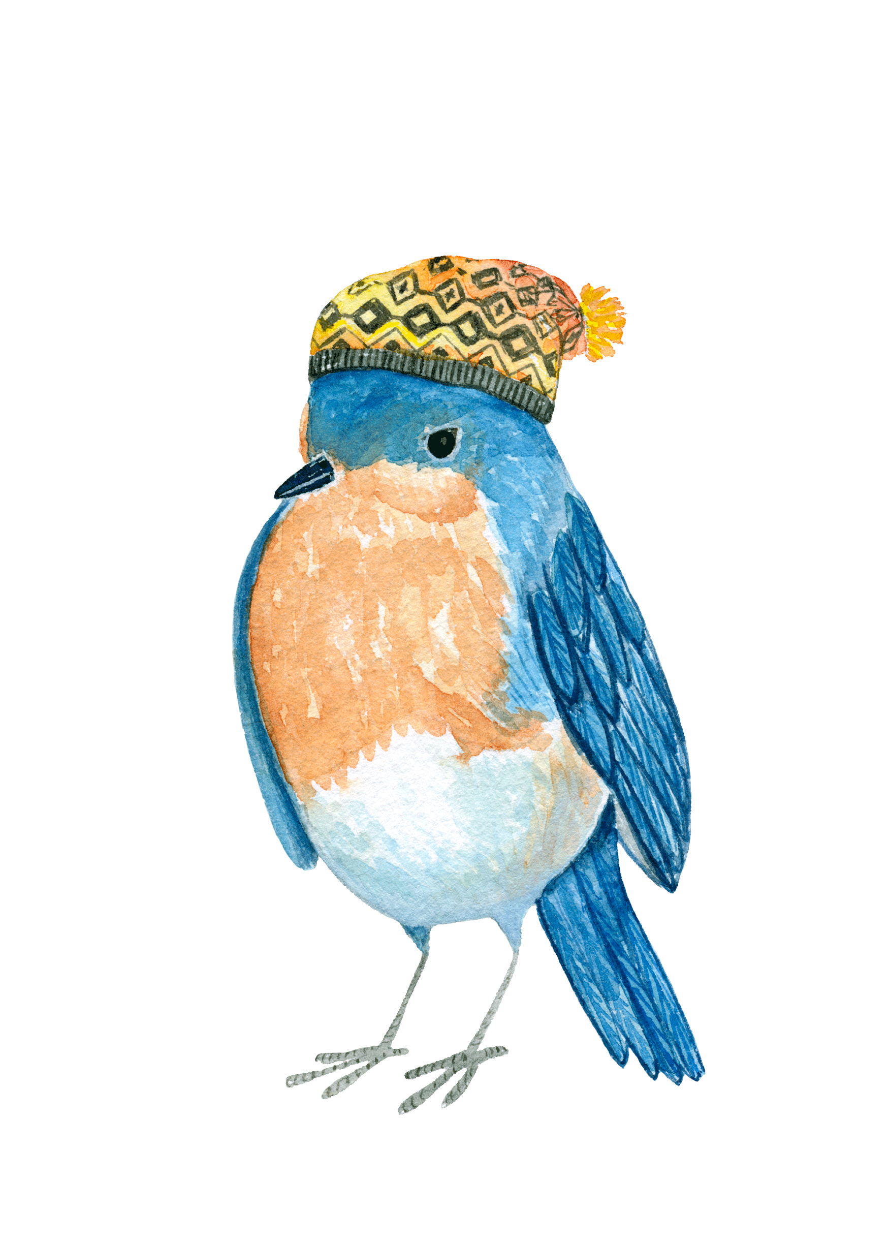 magpie_bluebird_lindsaybrackeen_2018.gif