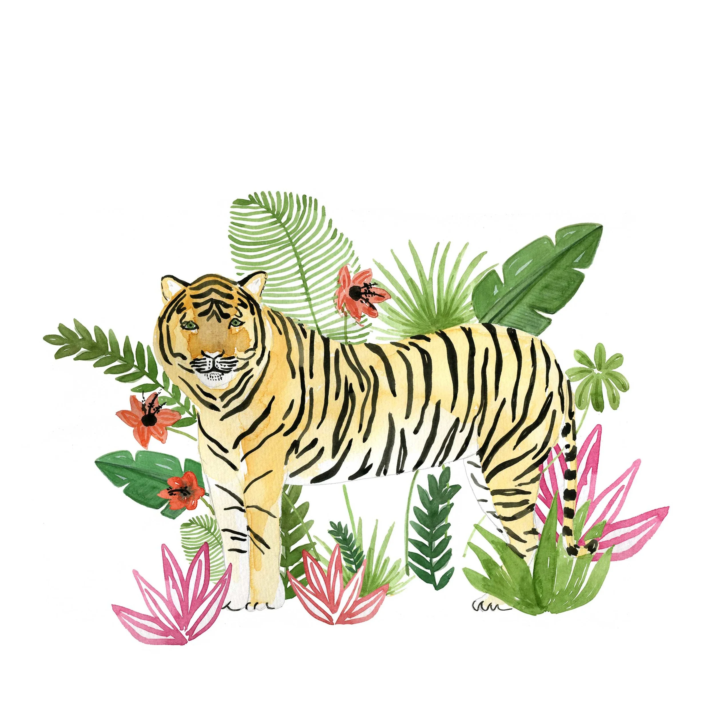 tiger.jpg