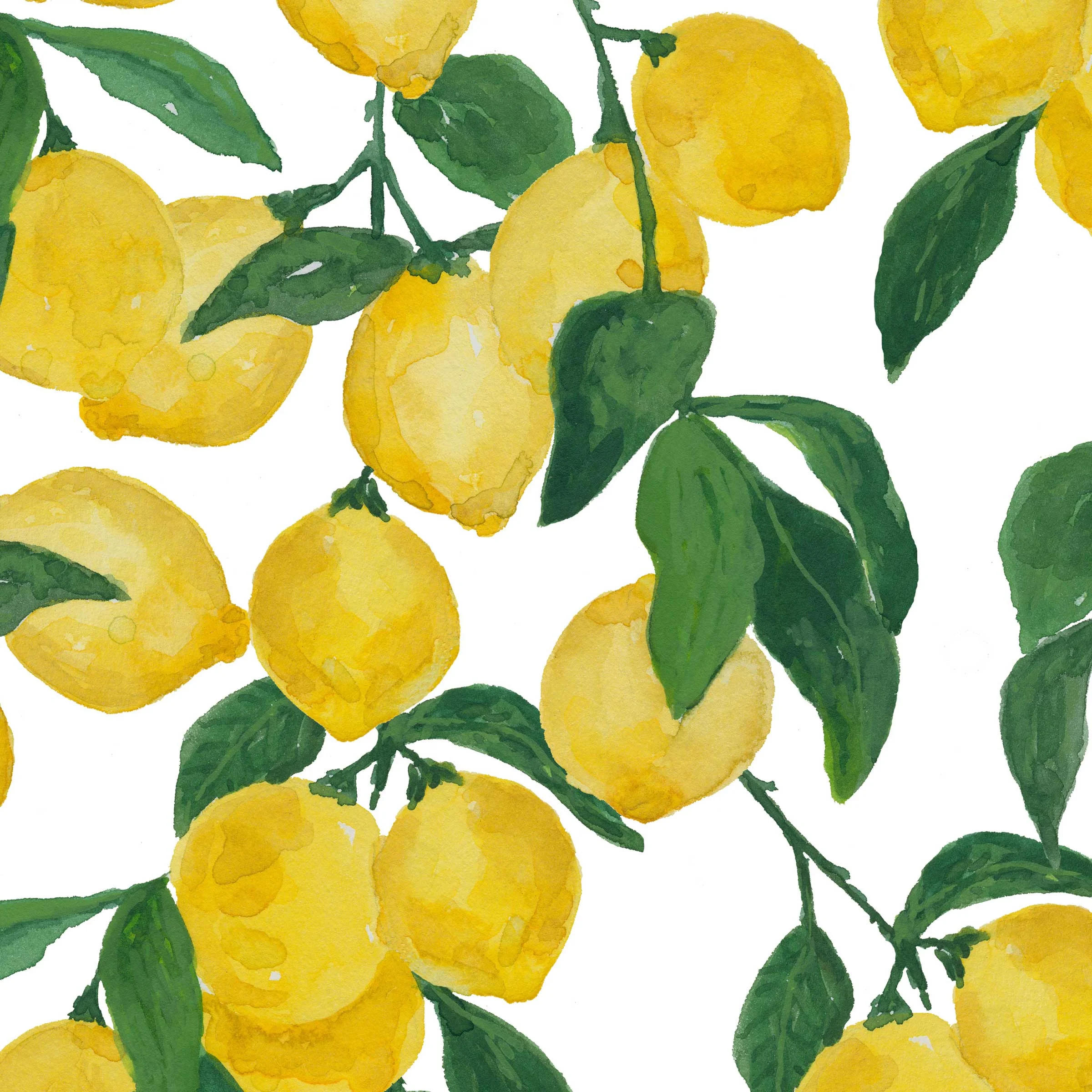 lemons_lindsaybrackeen.jpg
