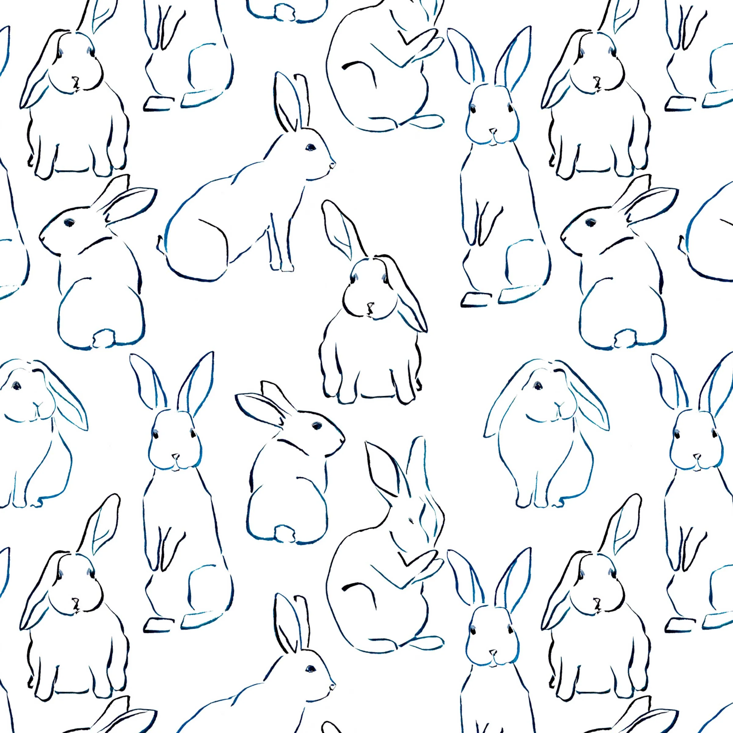 rabbits_lindsaybrackeen.jpg