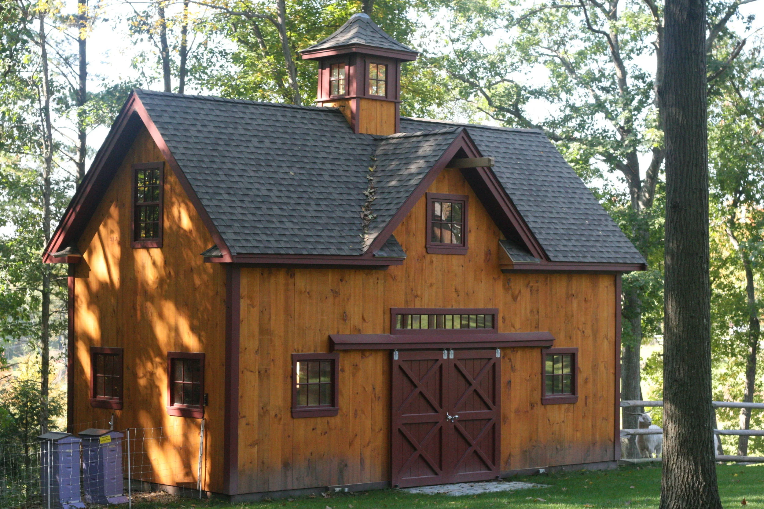103.JPG