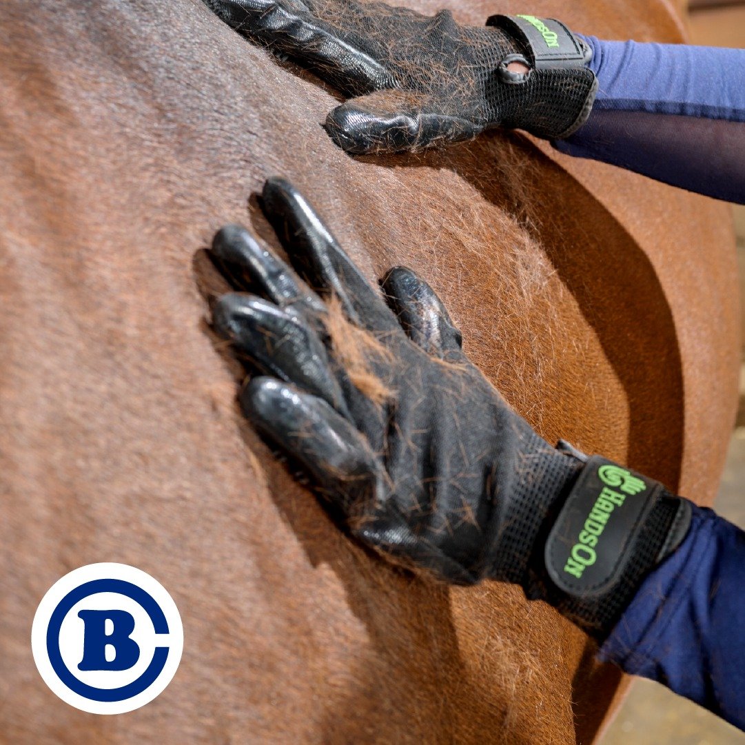 Spring Grooming
Shedding season is fully upon us! And there is nothing quite like the wooly-mammoth shedding of a horse at the end of winter. We&rsquo;re always looking for suggestions as to how to best manage (read: shed out quickly) this time of ye