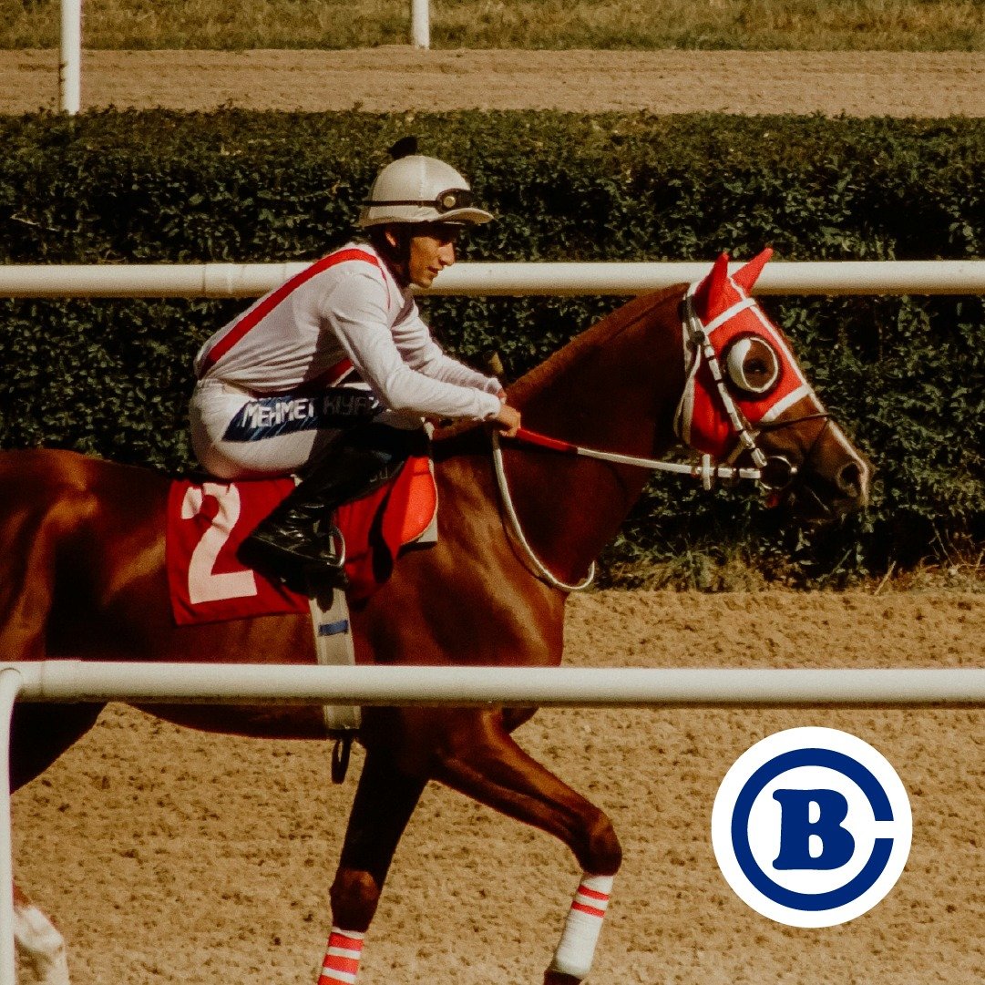 The second jewel of the Triple Crown is the Preakness Stakes in Baltimore, Maryland on Saturday, May 18. This will be the 149th running of the Preakness, and it promises to be a stellar event! Will Mystik Dan continue the pursuit of the Triple Crown?
