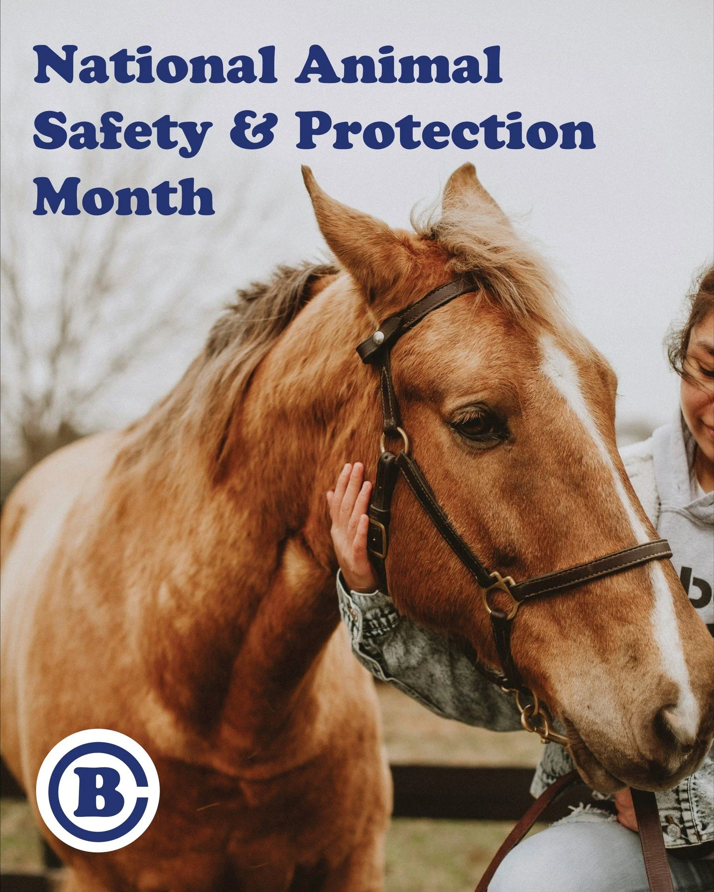 October is Animal Safety &amp; Protection Month &mdash; an important reminder for all of us to provide ethical &amp; kind treatment to domestic &amp; wild animals alike. Do you have a plan in place to keep your horses &amp; other animals safe in an e