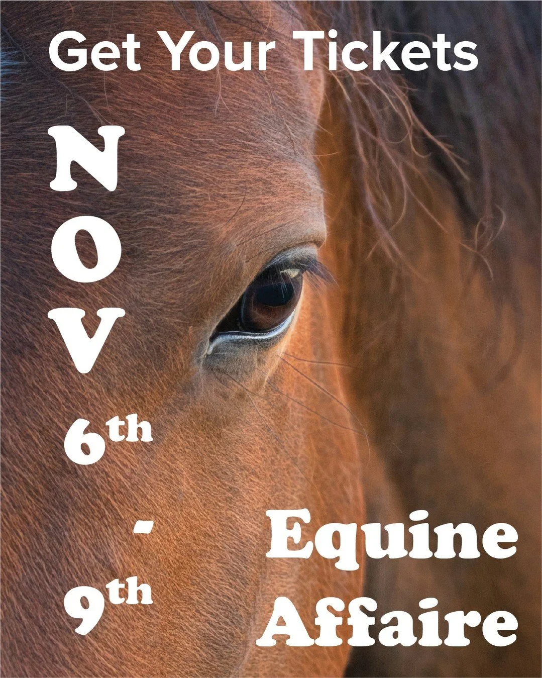 There&rsquo;s still time to get your tickets to this year&rsquo;s Equine Affaire, which runs from November 6 &ndash; 9. We&rsquo;ll be there at our own booth again, so be sure to come visit! We will be at booth 528 in the Better Living Center.

#Equi