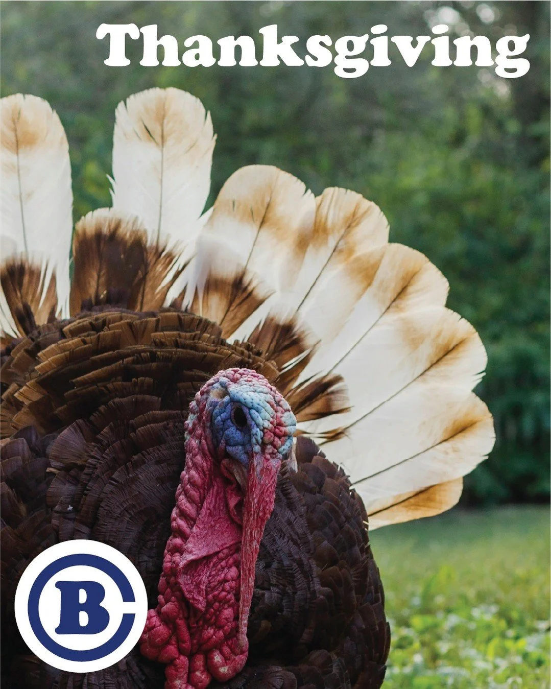 Happy Thanksgiving! We&rsquo;re thankful that we get to do what we love, designing and building the best barns, garages, and arenas for such a wonderful community of horse lovers. Have a great holiday weekend! 

#Thanksgiving #Thankful #CircleB #NewE