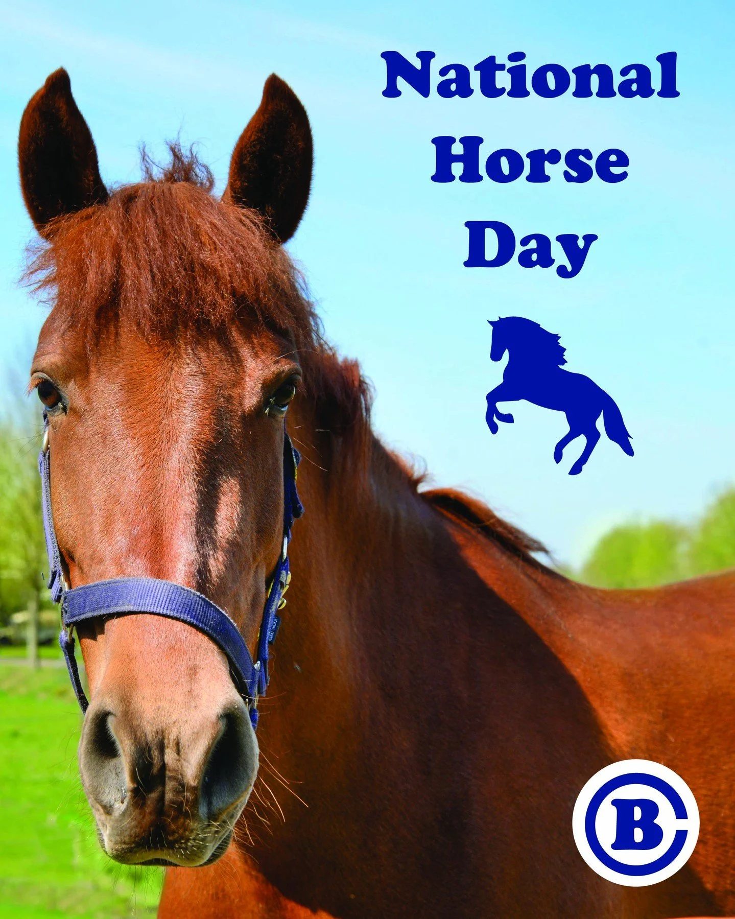 Today is National Horse Day! Horses have been an important part of American life for centuries; today is an excellent opportunity to show our appreciation.

#NationalHorseDay #HorseLovers #CircleB #NewEnglandStyleBarn #HorseBarn #Barn #EquestrianBarn