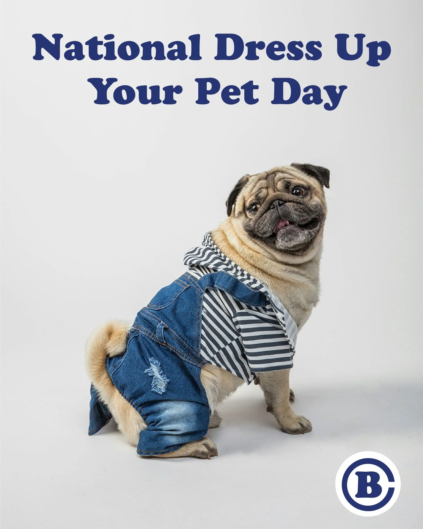 Today is National Dress Up Your Pet Day &mdash; let&rsquo;s have fun with it! Show us your favorite pics of your horses &amp; other animals dressed up in the comments.