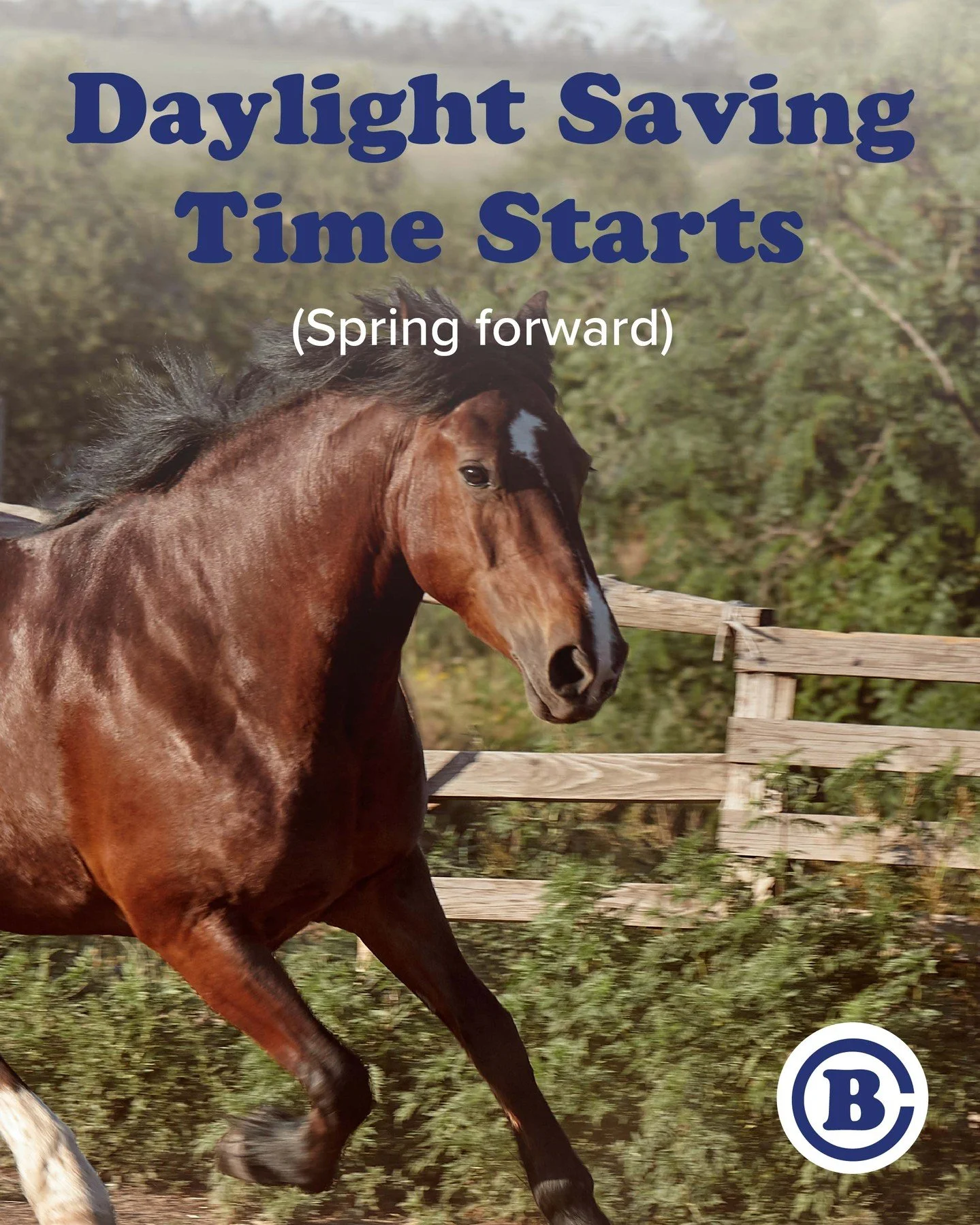 Today is the start of Daylight Saving Time! 
Did you remember to spring forward on all of your clocks? ⏰