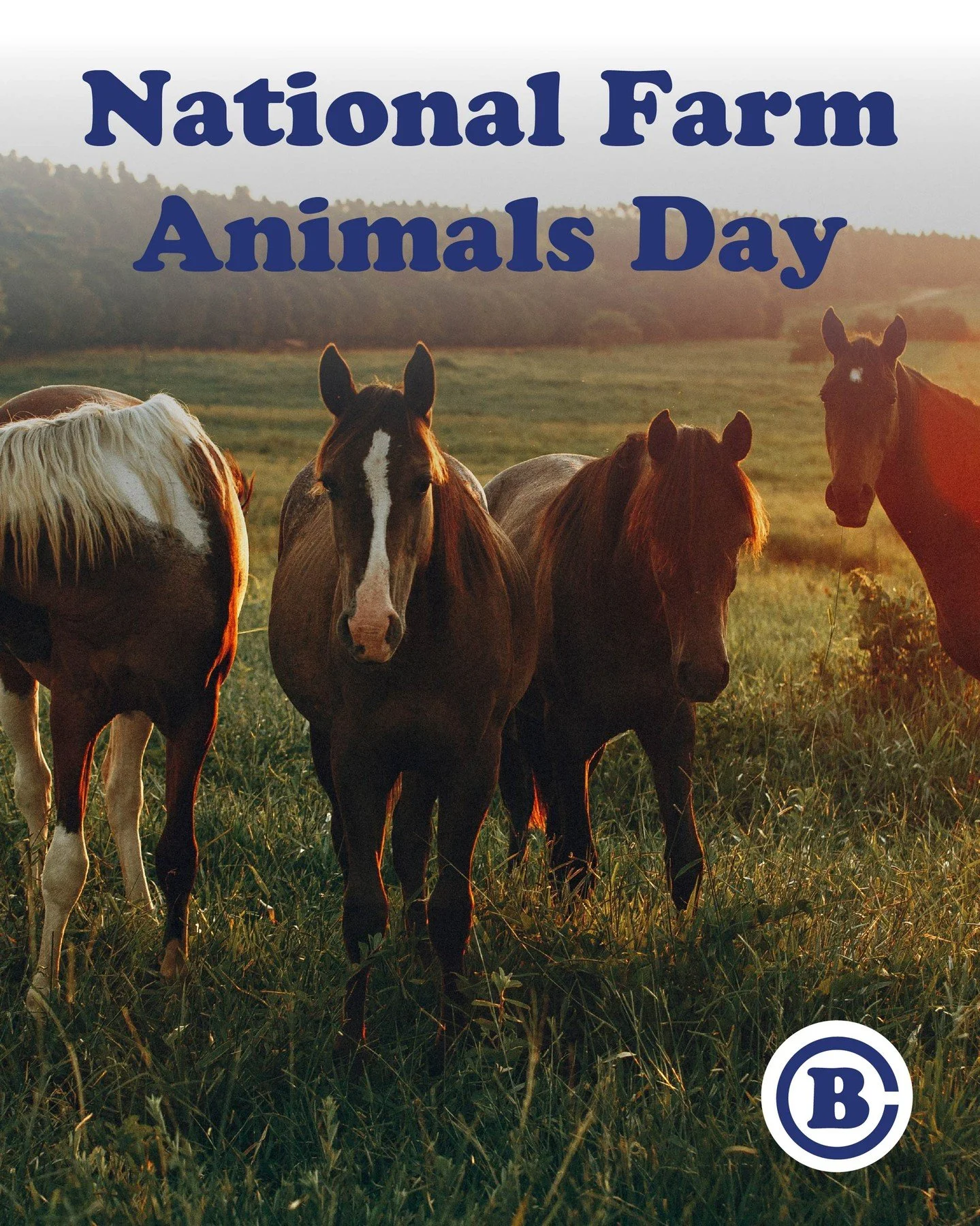 April 10 is National Farm Animals Day! 🐴
Today, we focus on the importance of humane treatment for all animals that live on farms &mdash; it&rsquo;s a great day to take the family to visit your local farms &amp; show your appreciation for the ones w