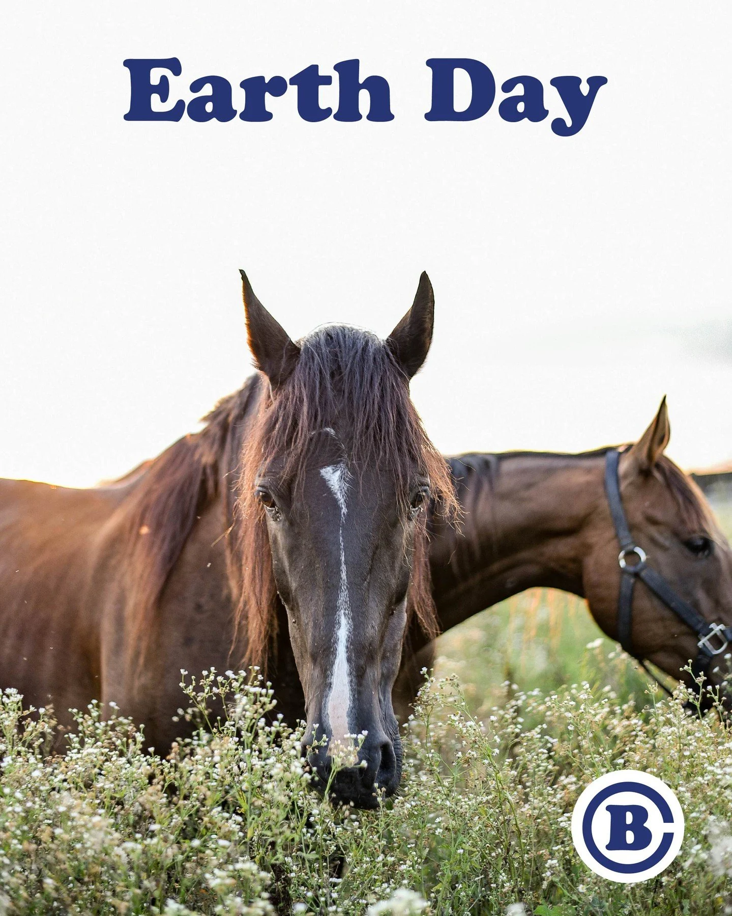 Happy Earth Day! 🌎
Get outside &amp; enjoy nature today to remember why a cleaner, greener planet Earth is worth fighting for every day.