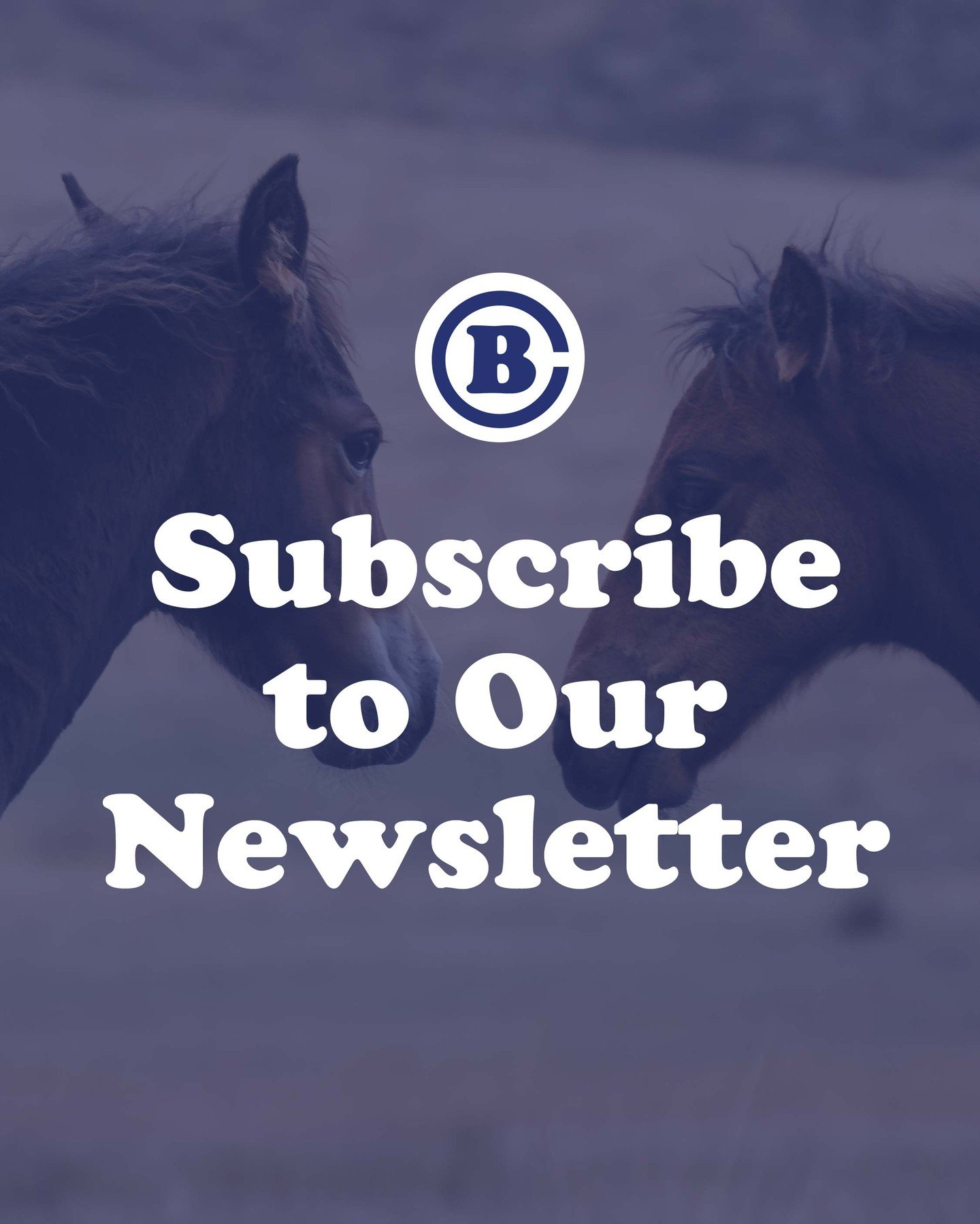Make sure you subscribe to Circle B&rsquo;s monthly newsletter to stay on top of our latest news, special events, &amp; more.

Sign up on our website &mdash; link in bio!