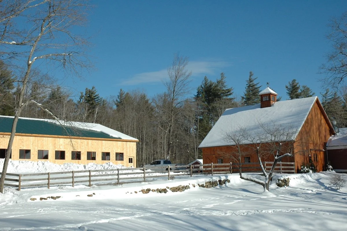 DSC_0093.JPG