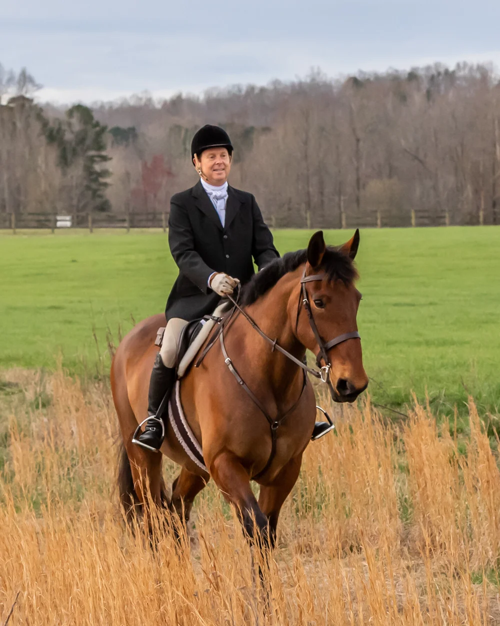 Your Horse and The Law: Why Do You Need An Attorney? — TryonEquineLaw.com