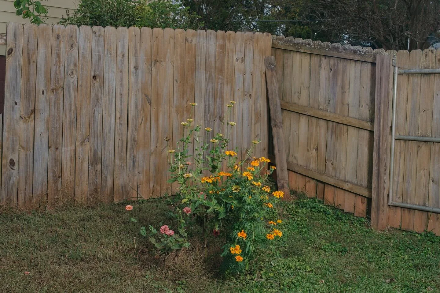 💐