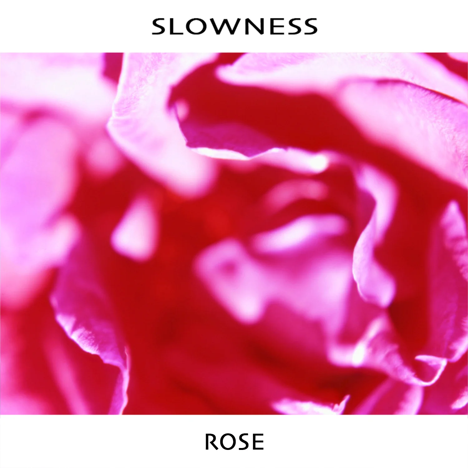 The Big Takeover debut's Slowness "Rose"