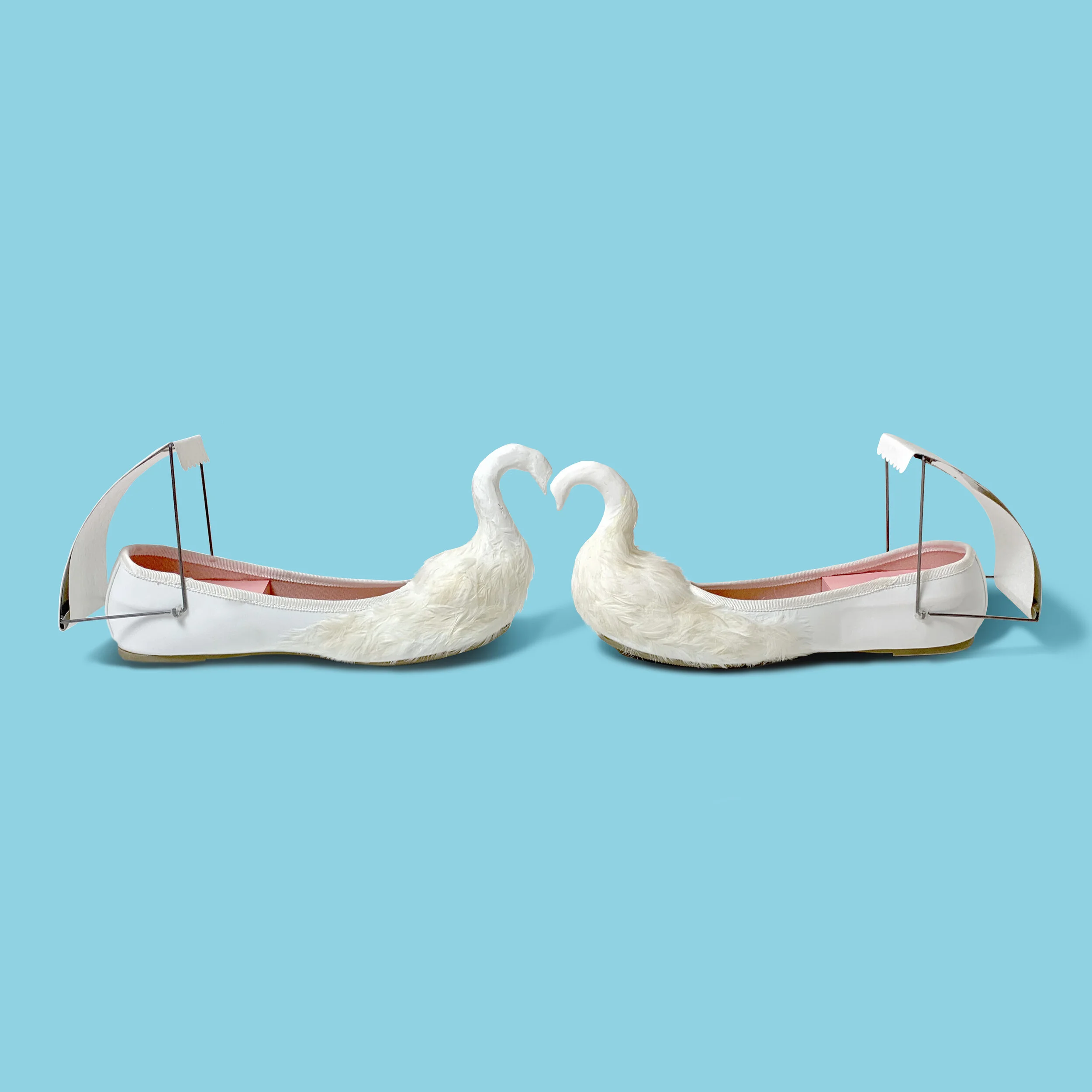 Swan Website.jpg