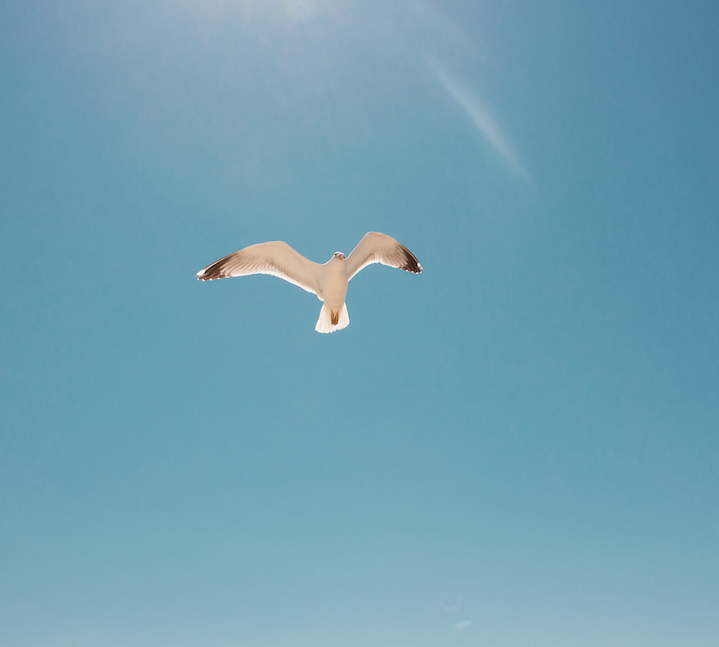 Screenshot 2019-03-13 at 21.55.44.png