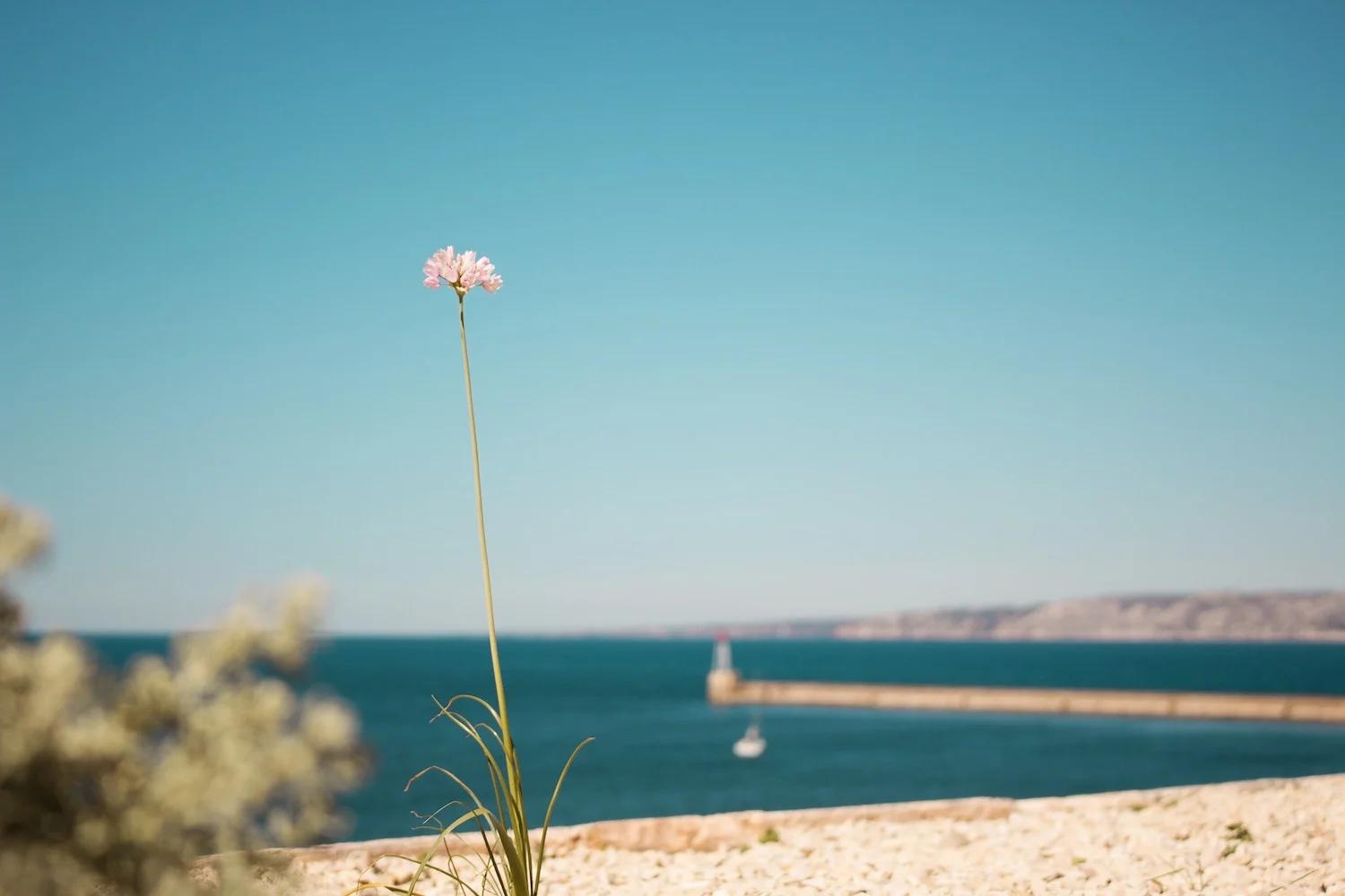 About-Every-Nation-Marseille.jpg