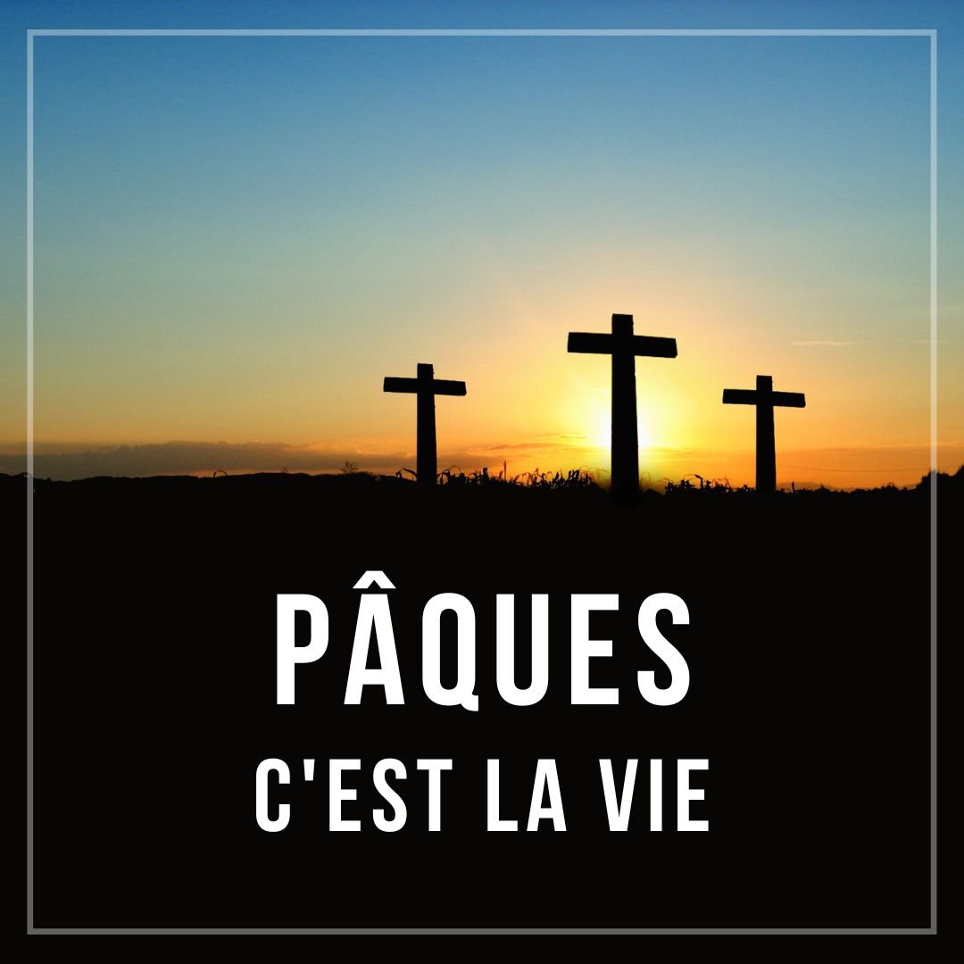 Pâques, c'est la vie - Matt Rasch