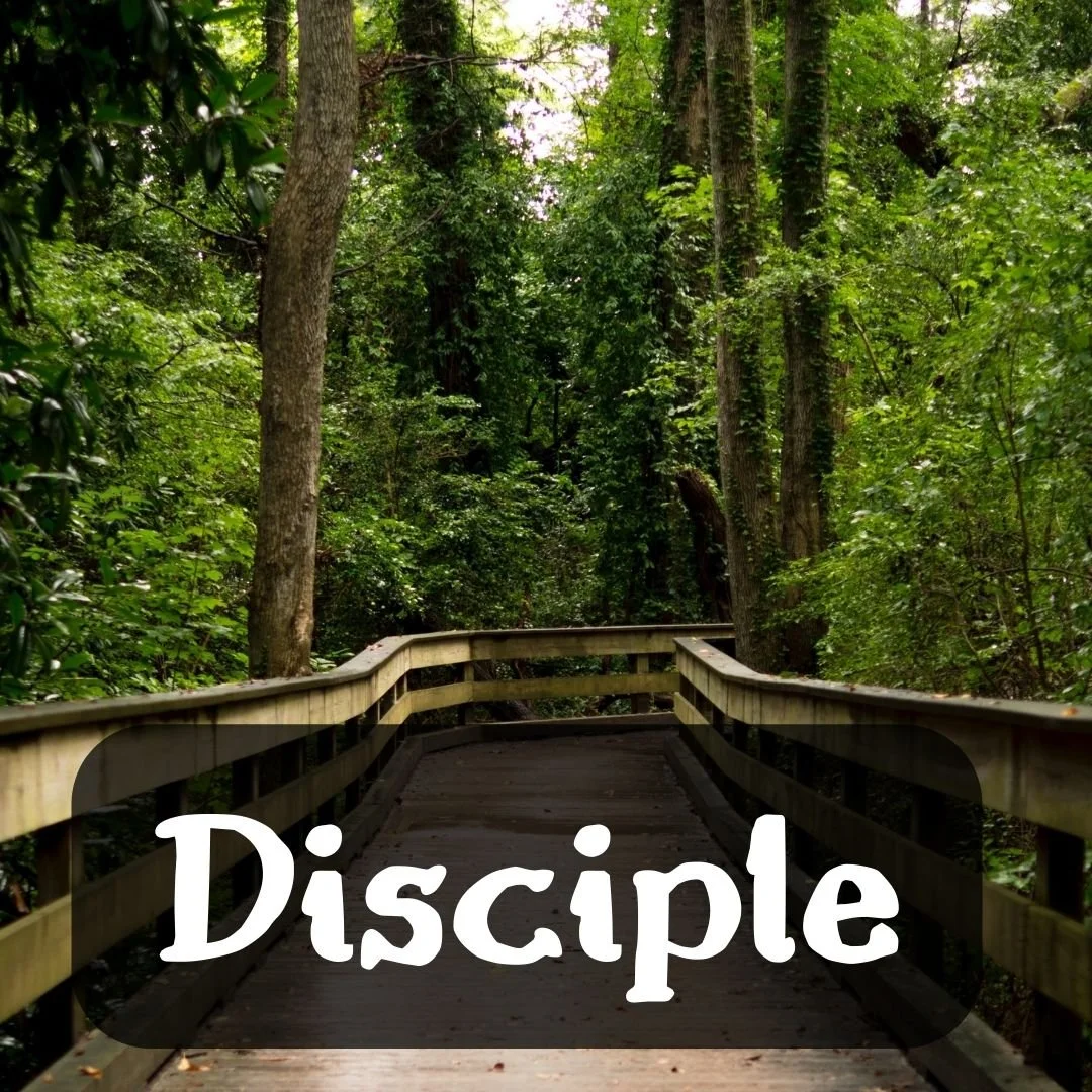 Disciple 1: Renoncer à nos droits - Cordula Drowsky