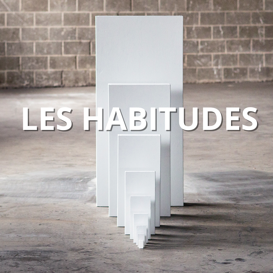 Les Habitudes 3: Arrêter - Matt Rasch