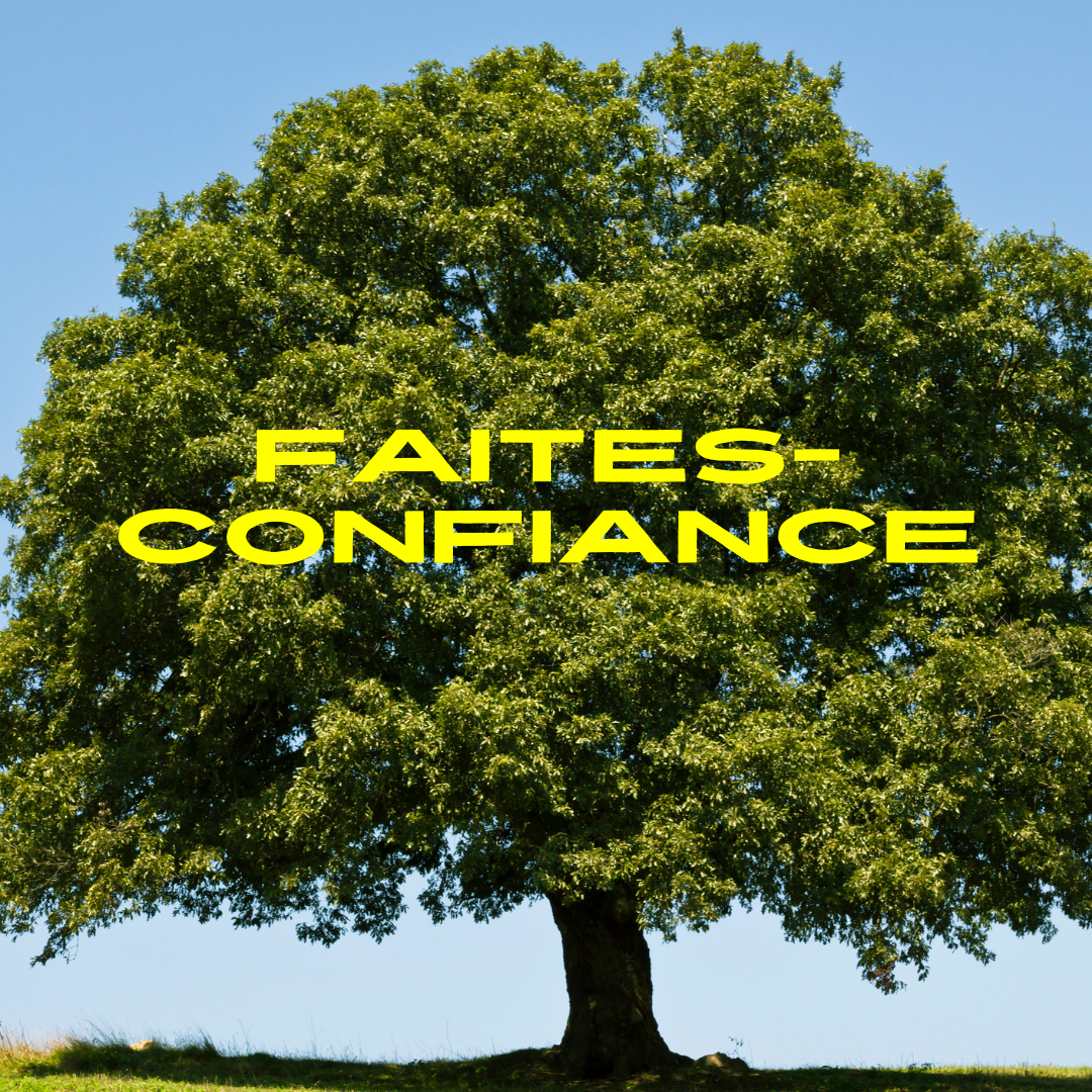 Faites confiance - Frans Olivier