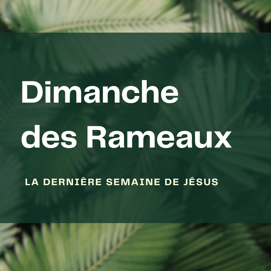 La dernière semaine de Jésus - Fiona Matier