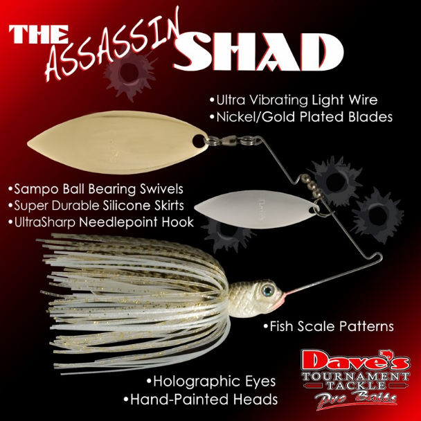 ASSASIN SHAD.png