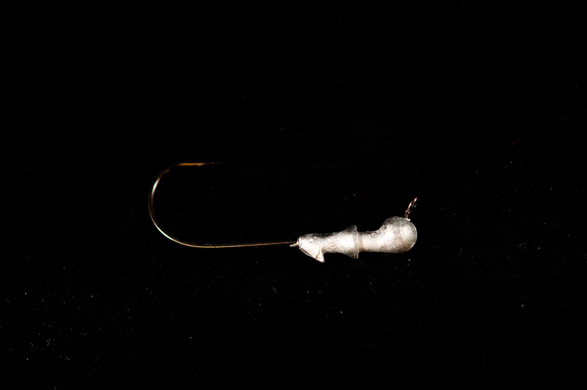 _DSC0303.jpg