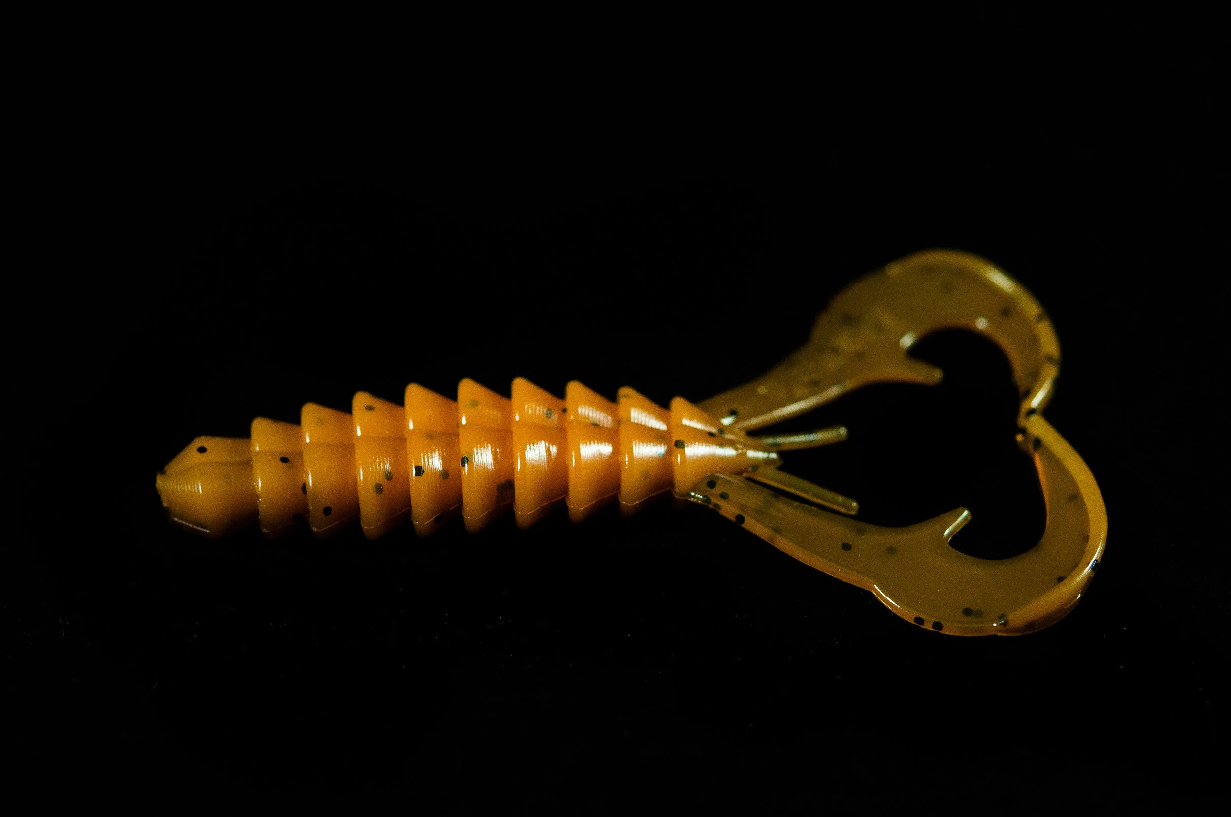 _DSC0483.jpg